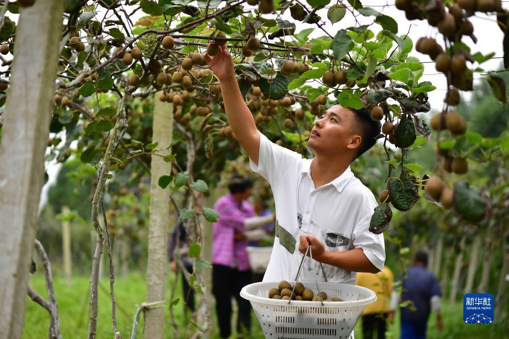 摸摸鱼游戏下载